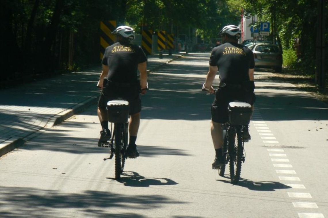 Jak działa Straż Miejska? Ok. 40 interwencji dziennie w lipcu