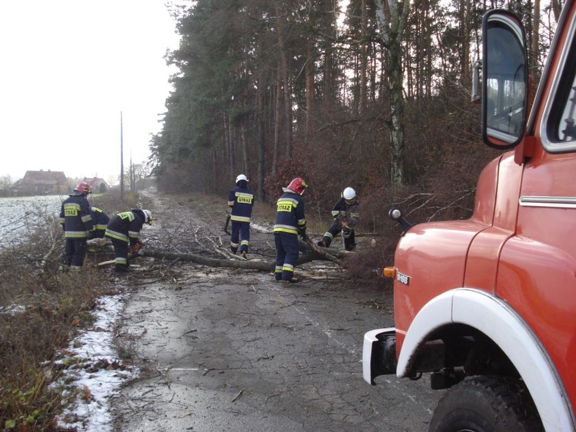 Jakie szkody wyrządził Ksawery?