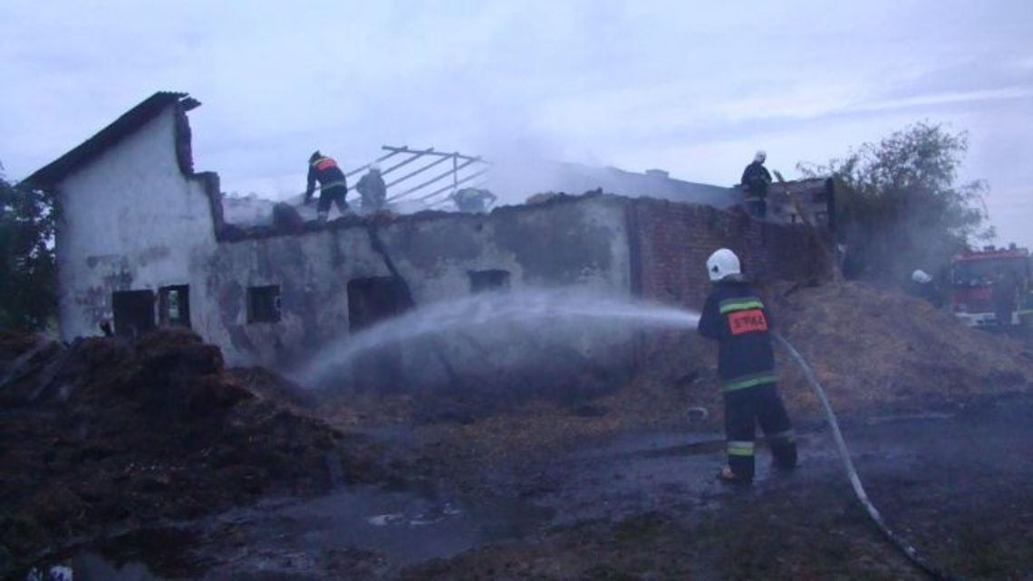 Jedenaście zastępów gasiło pożar w Małżewie Jedenaście zastępów gasiło pożar w Małżewie