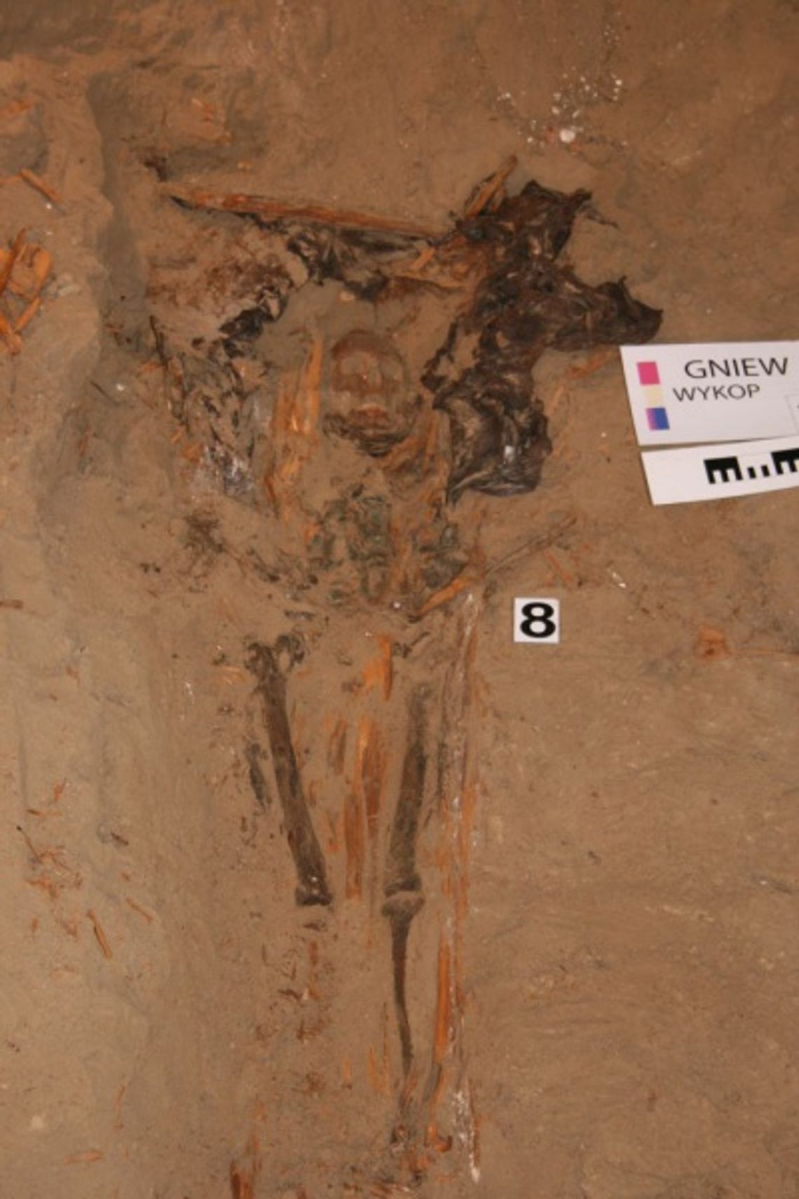 Jedzenie w... grobie. Pogańskie obrządki w XVII wieku! Wykopaliska w gniewskim kościele św. Mikołaja