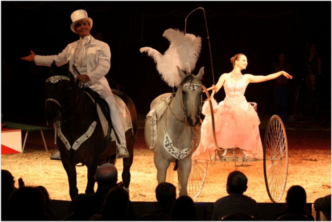 Już dziś przyjdź na Cyrk Zalewski! Już dziś przyjdź na Cyrk Zalewski!