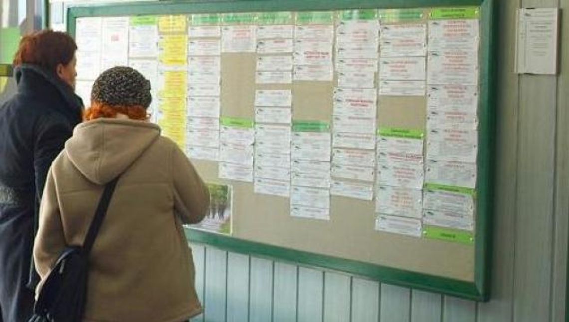 Kelner, mechanik, kierowca. Szukasz pracy? 108 ofert tczewskiego PUP Kelner, mechanik, kierowca. Szukasz pracy? 108 ofert tczewskiego PUP