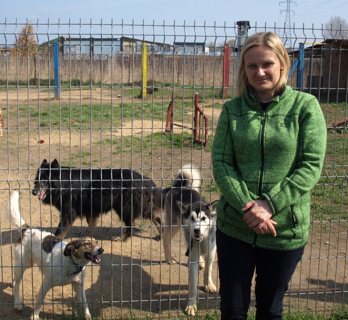 Kierownik schroniska: Ludziom brakuje sumienia i odpowiedzialności Kierownik schroniska: Ludziom brakuje sumienia i odpowiedzialności