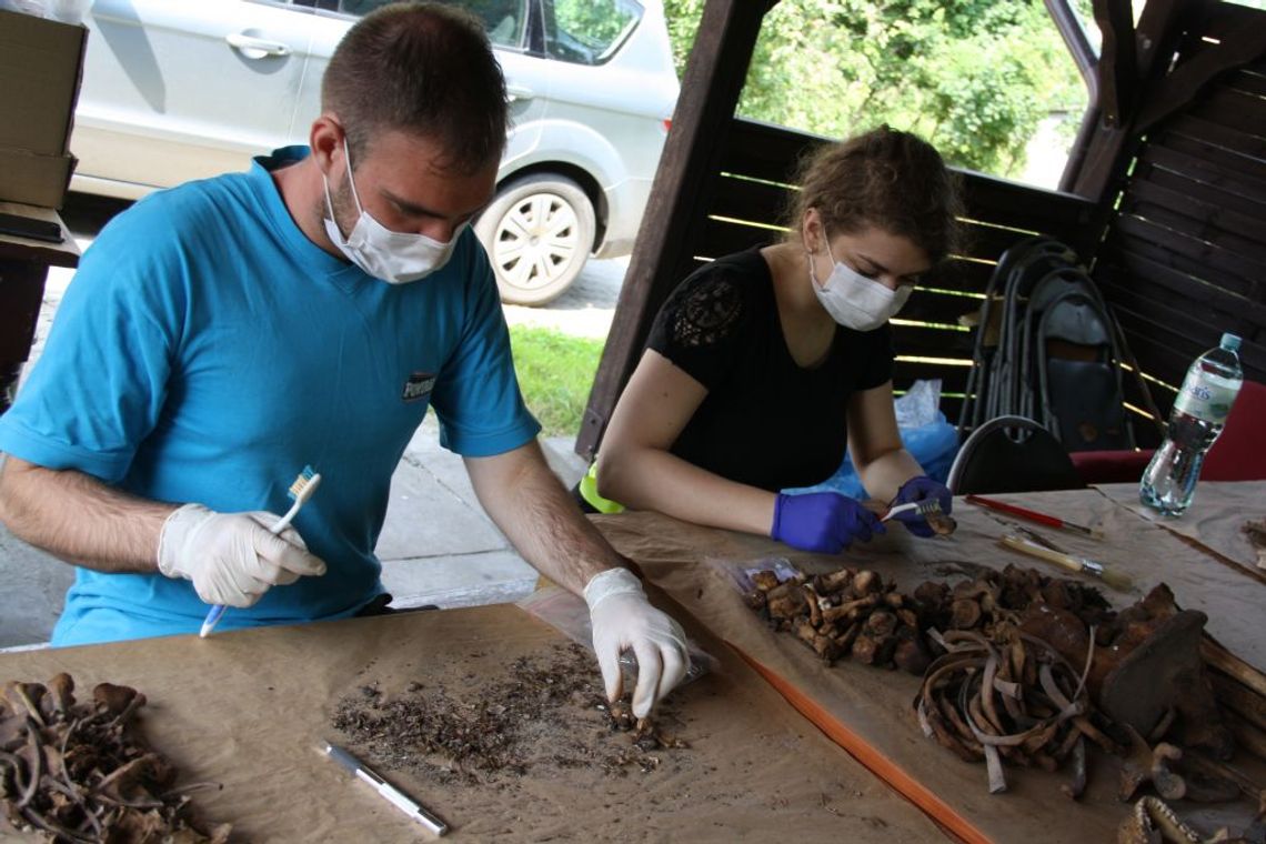 Kolejne rewelacje z piaseckiej krypty - 121 śliwek i śmierć