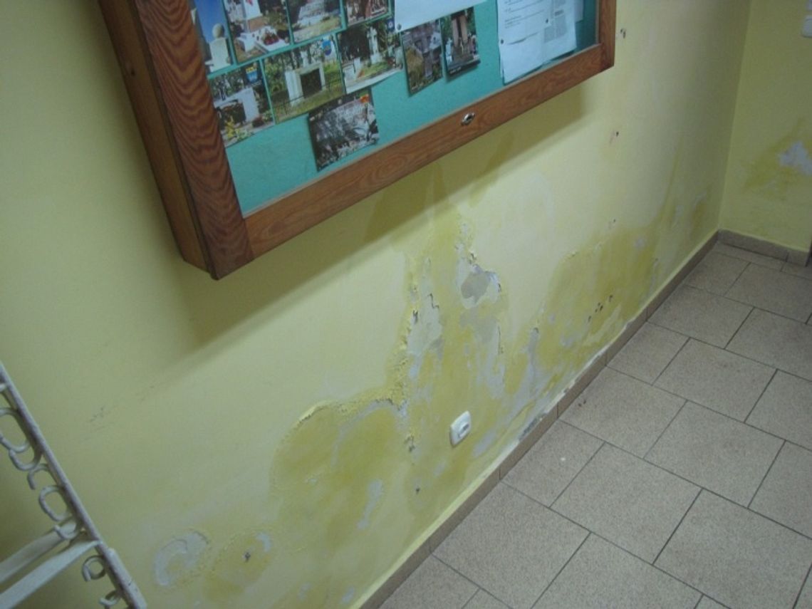 Kombatanci w zamrażalni