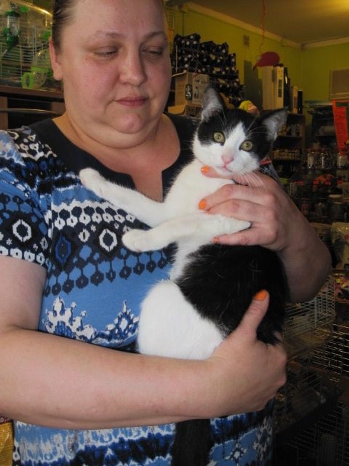 Kotek znalazł pomoc w... sklepie zoologicznym