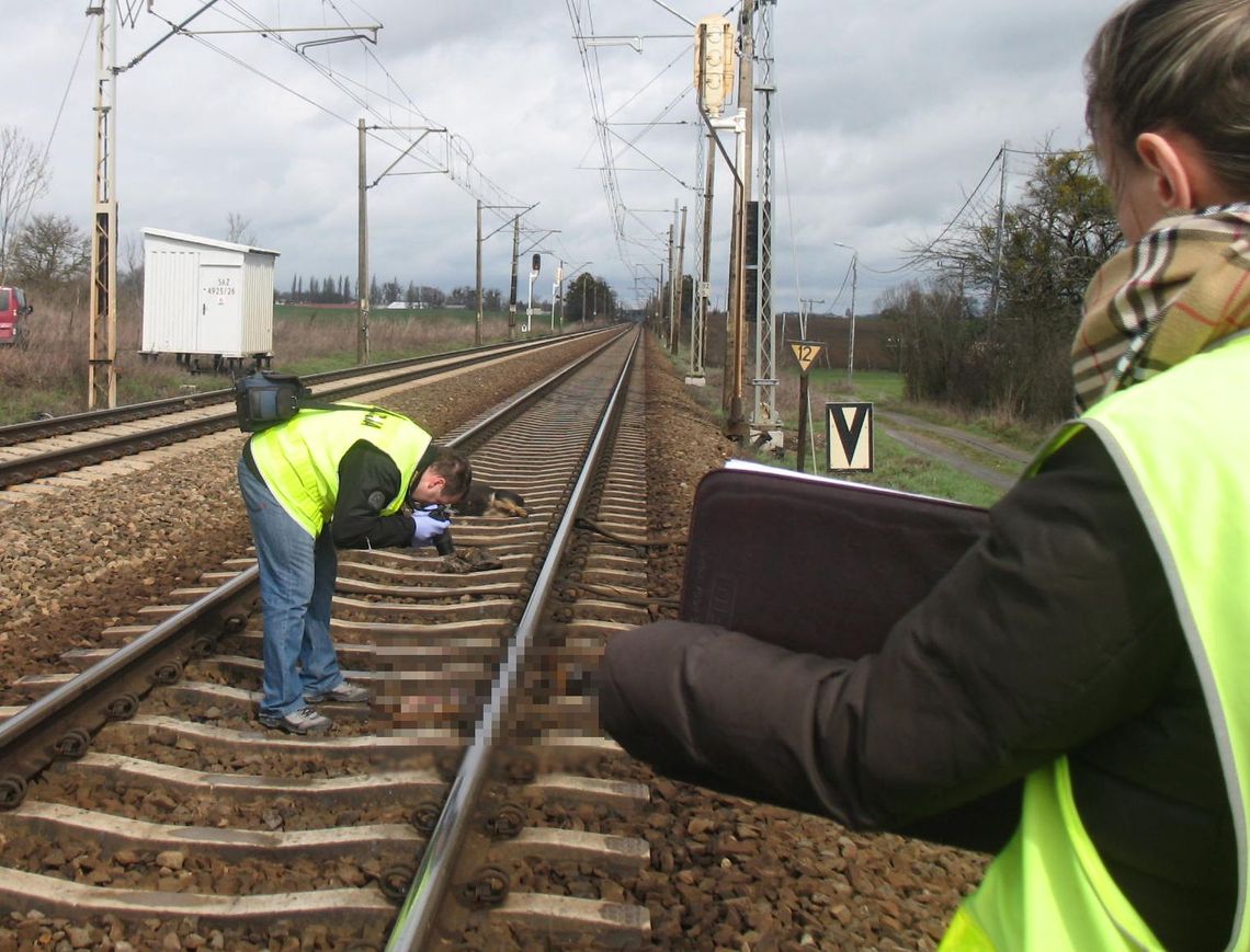 Kto w Czarlinie morduje psy? Kto w Czarlinie morduje psy?