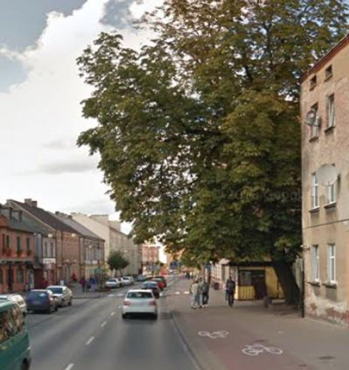 Kuriozalna decyzja radnych! Kasztanowcem zajmie się prokuratura