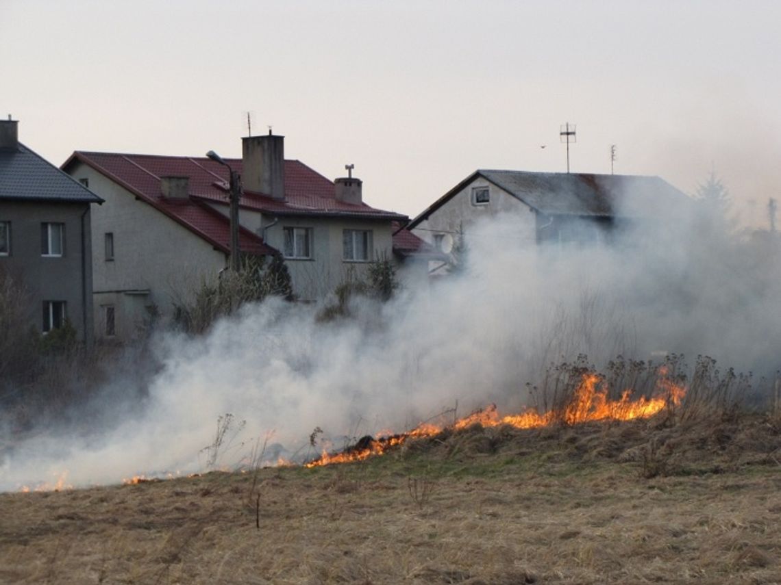 Łąki w płomieniach. Przyroda i ludzkie mienie w niebezpieczeństwie