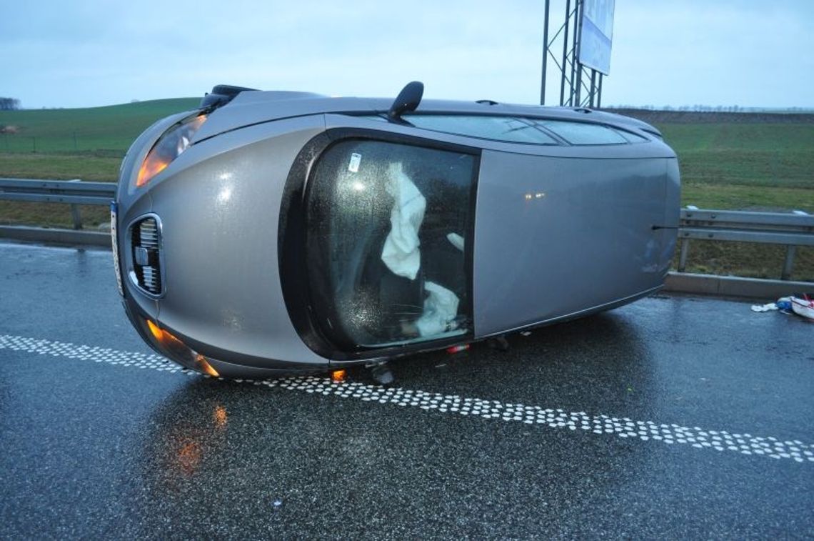 Łoś na autrostradzie. Dachowanie na A1 Łoś na autrostradzie. Dachowanie na A1