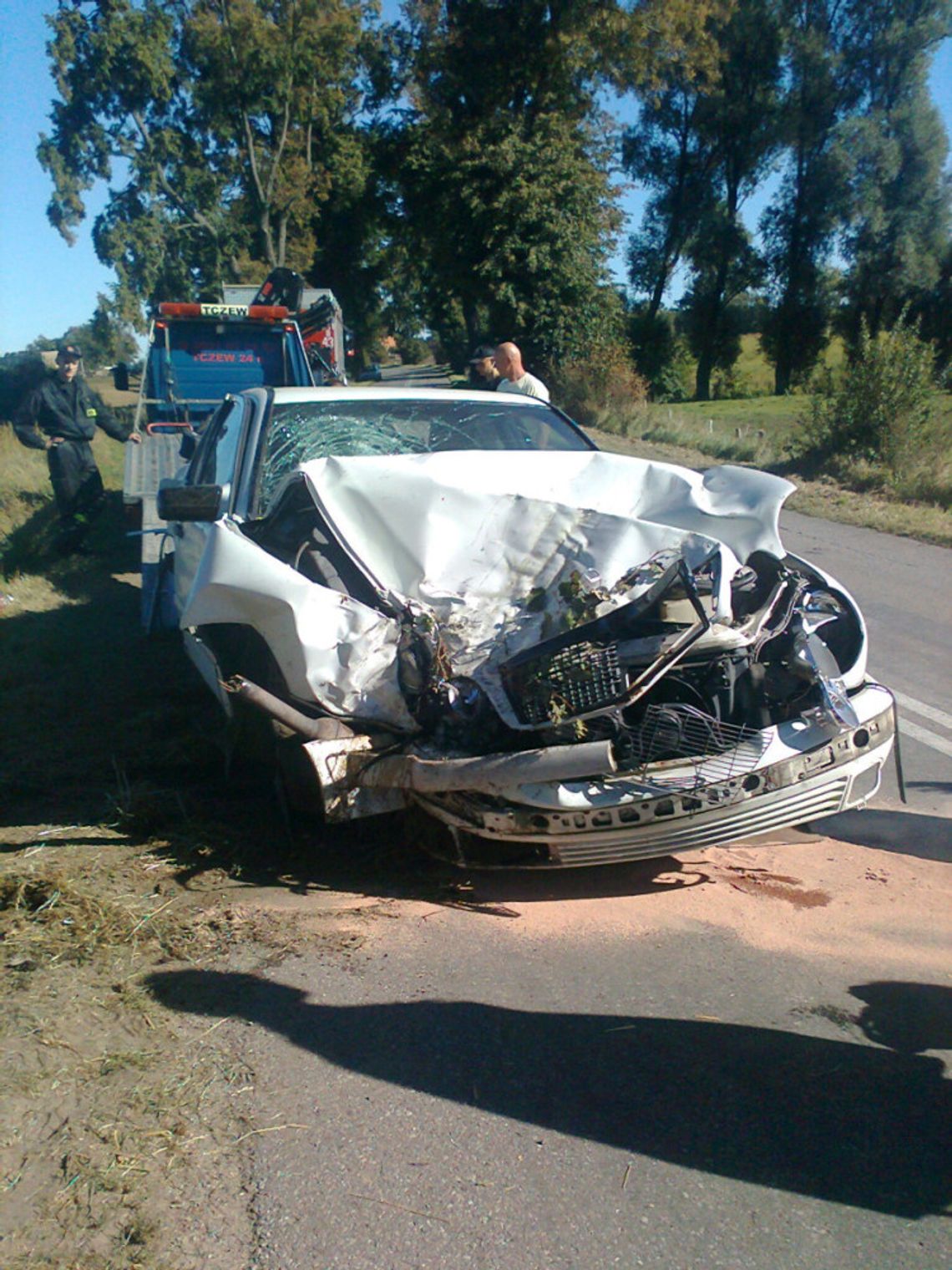 Mercedesem w drzewo w Turzy Mercedesem w drzewo w Turzy