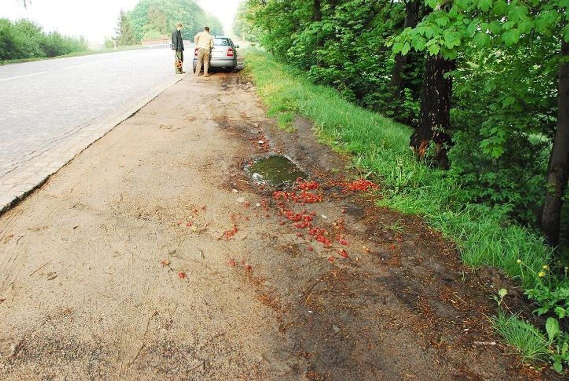 Mercedesem w truskawki, a potem łapówka...