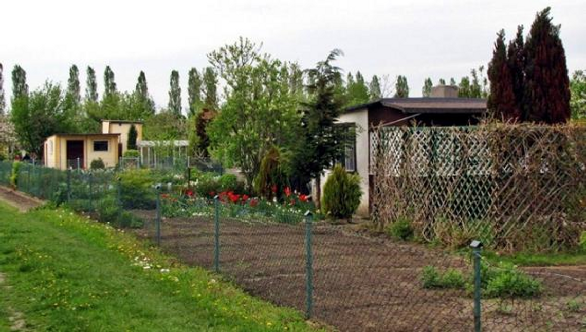 Miasto posprząta ogrody działkowe Miasto posprząta ogrody działkowe