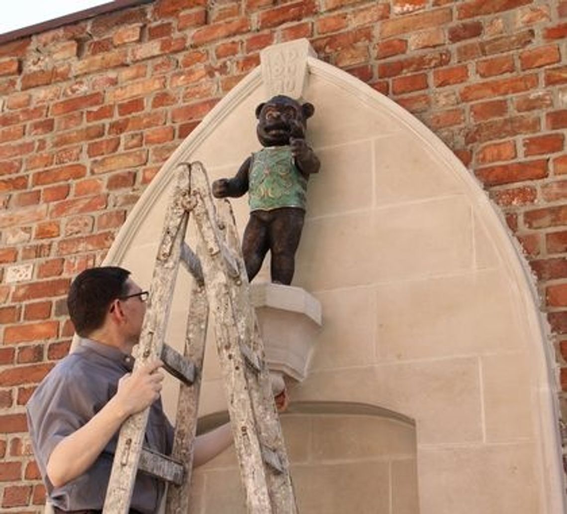 Miś Maciuś prawowitym gniewianinem Miś Maciuś prawowitym gniewianinem