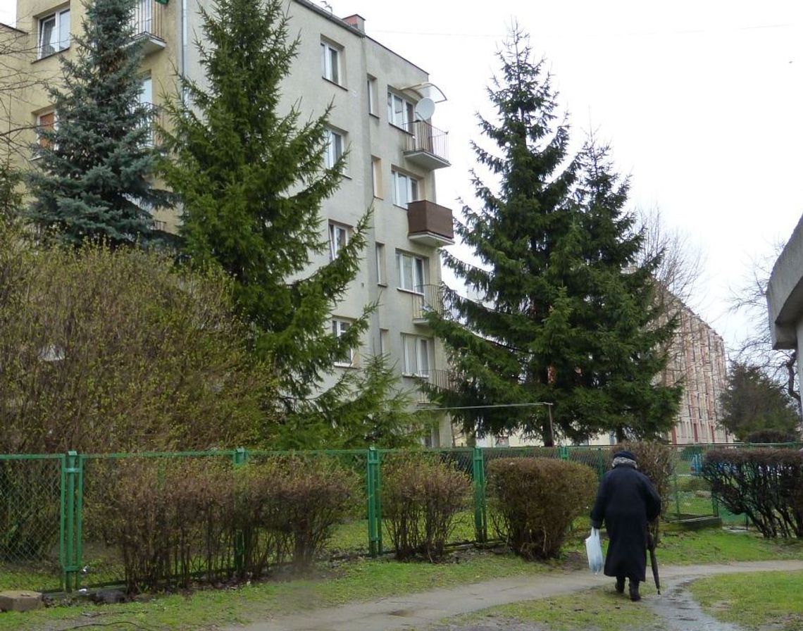 Morderstwo na Czyżykowie czy „makabryczna” plotka? Morderstwo na Czyżykowie czy „makabryczna” plotka?