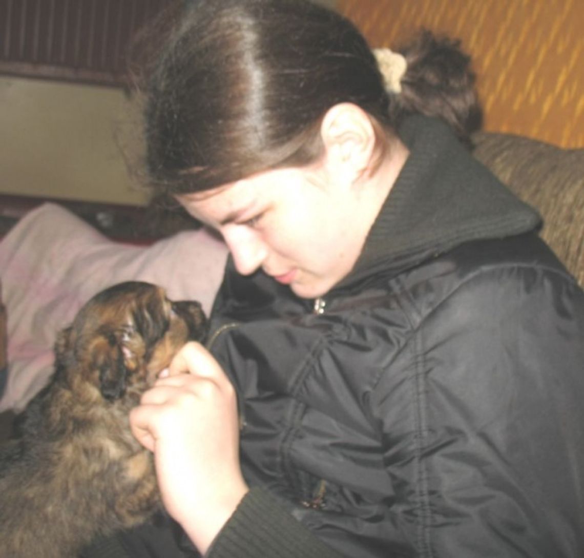 Może 1 proc. na bezdomne zwierzaki? Może 1 proc. na bezdomne zwierzaki?