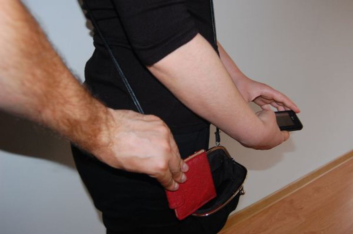 Na koncie 30 przestępstw - w pół roku Na koncie 30 przestępstw - w pół roku