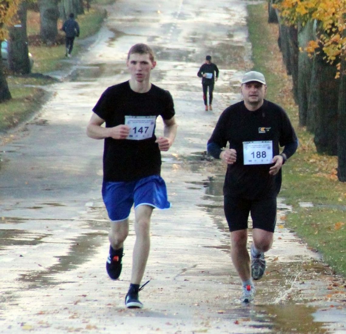 Nadwiślański półmaraton  - I Bieg Nadwiślański Doliną Dolnej Wisły