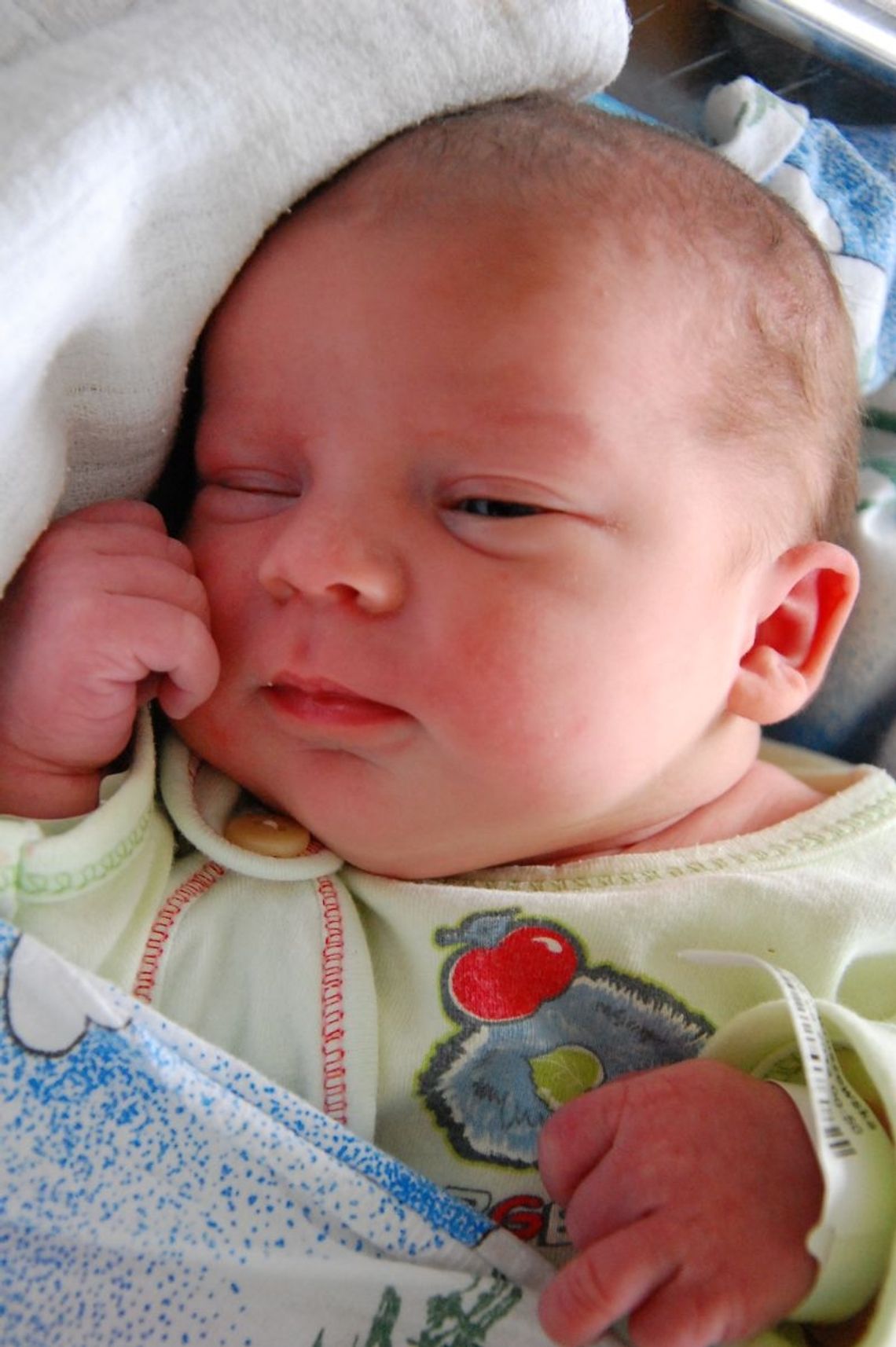 Najmłodsi mieszkańcy powiatu tczewskiego Najmłodsi mieszkańcy powiatu tczewskiego