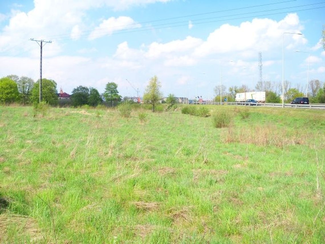 Nie ma chętnych na działkę za 7,5 mln zł