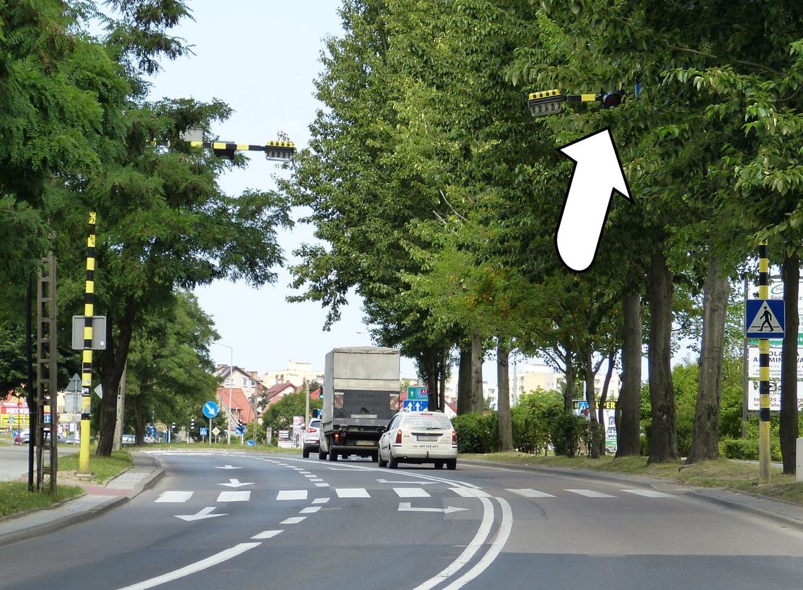 Nie widzą świateł przez gałęzie drzewa