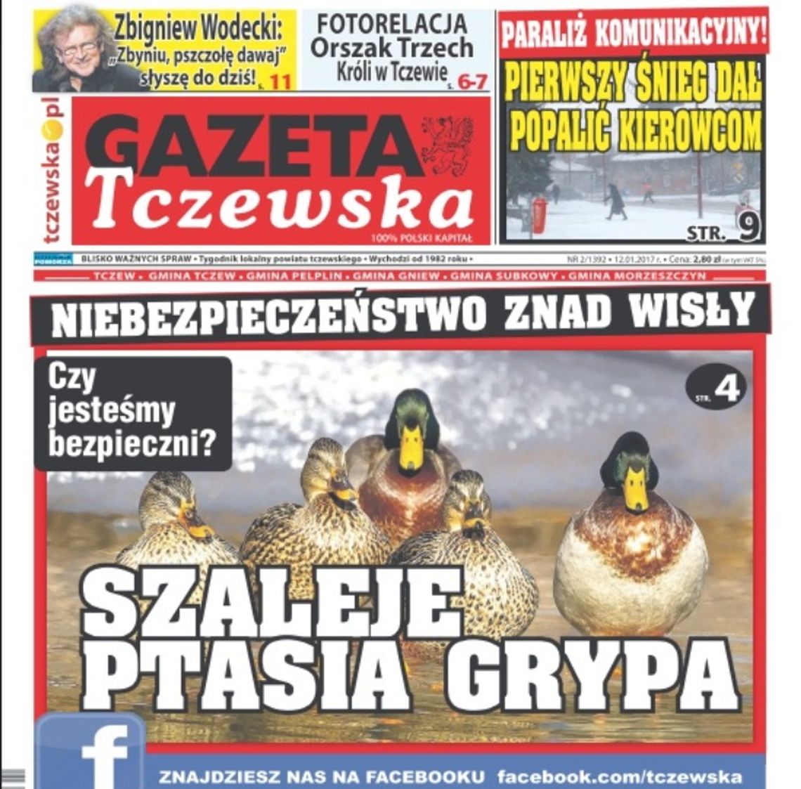 Niebezpieczeństwo znad Wisły. Powiat tczewski zagrożony ptasią grypą Niebezpieczeństwo znad Wisły. Powiat tczewski zagrożony ptasią grypą