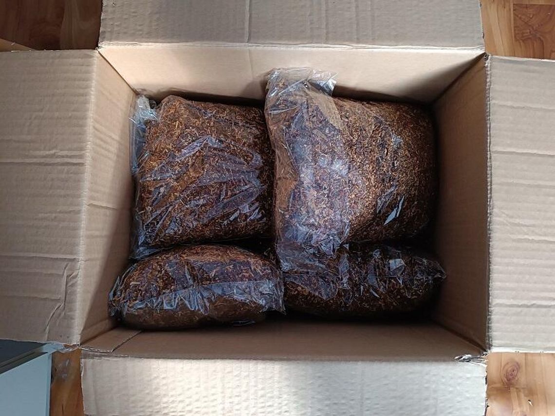 Nielegalny tytoń zamówiony przez Internet. Akcyza uszczuplona o blisko 7 tys. zł Nielegalny tytoń zamówiony przez Internet. Akcyza uszczuplona o blisko 7 tys. zł