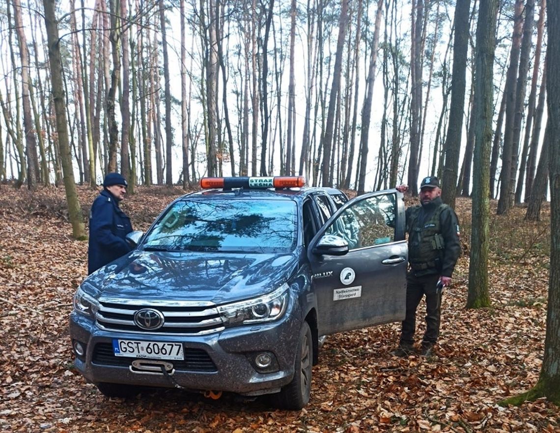 Nielegalny wyręb drzew. Wartość drewna to ponad tysiąc złotych...