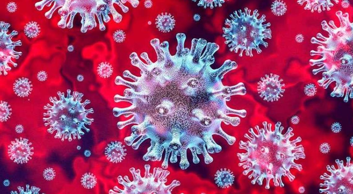NOWY KOMUNIKAT. Koronawirus. 205 zakażeń w Polsce, 6 nowych na Pomorzu, w województwie łącznie choruje 8 osób