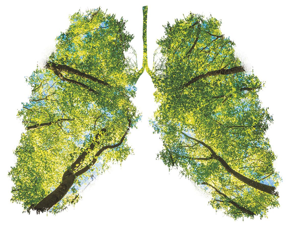 O alternatywach dla papierosa O alternatywach dla papierosa