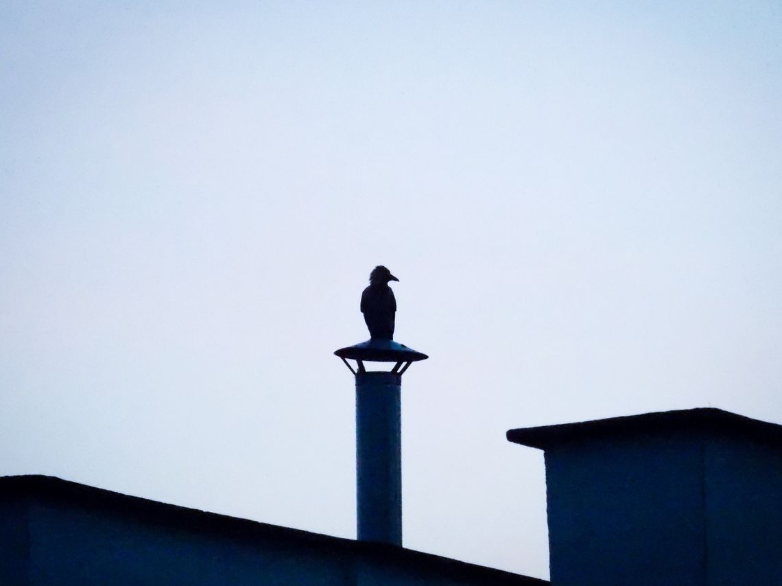 Odór na os. Staszica. Mieszkańcy szukają winnego, radny ujawnia wyniki kontroli