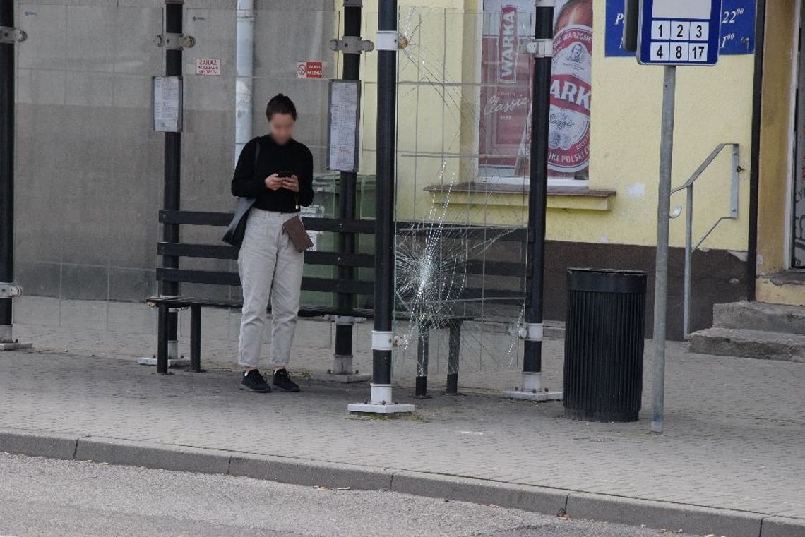 Ogromne, bezsensowne straty! Jeśli widzisz wandalizm albo wandala... Powiadom służby!