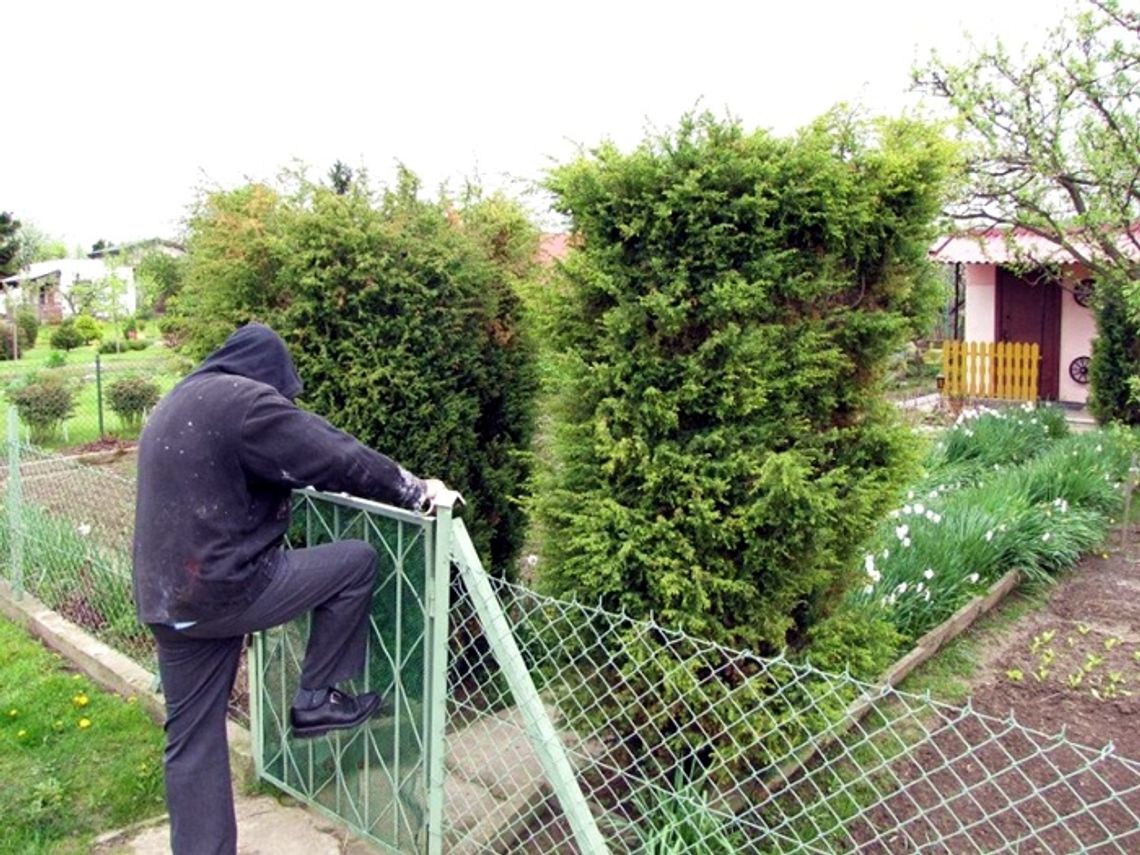 Okradał działkowców i niszczył ich altany Okradał działkowców i niszczył ich altany