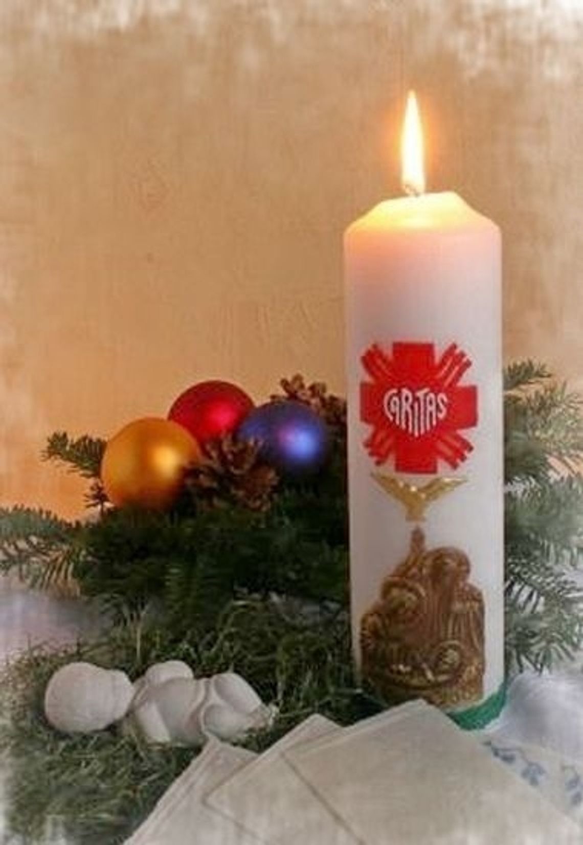 Oni dają wiele serdeczności, cierpliwości i dobra Oni dają wiele serdeczności, cierpliwości i dobra