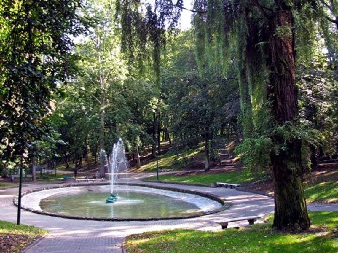 Park linowy w miejskim parku? Jest szansa na uatrakcyjnienie terenu zielonego Park linowy w miejskim parku? Jest szansa na uatrakcyjnienie terenu zielonego