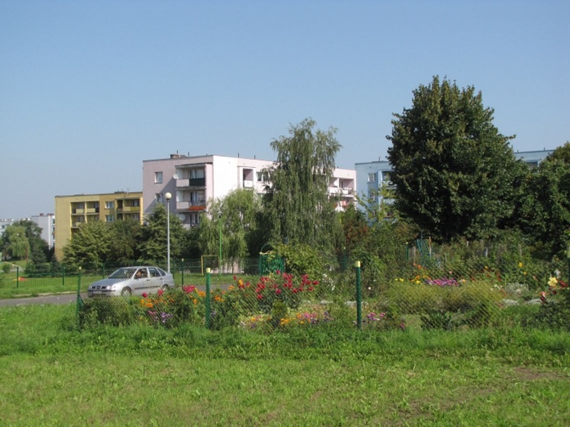 Petycja do prezydenta. Chcą zieleni zamiast hałasu i spalin - drogowe emocje Petycja do prezydenta. Chcą zieleni zamiast hałasu i spalin - drogowe emocje