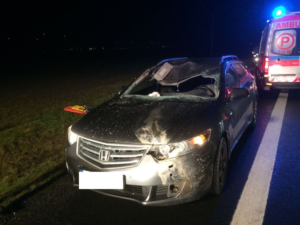 PILNE. Oto skutki zderzenia z sarną! Jedna osoba ranna w wypadku na "jedynce"