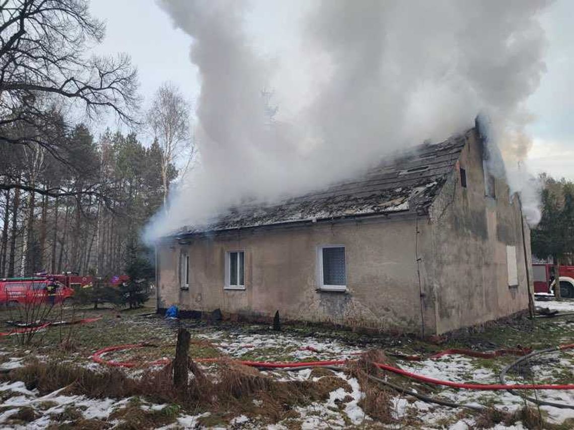 Wybuch gazu w budynku mieszkalnym we Frący. Na miejsce skierowano liczne siły i środki straży pożarnej