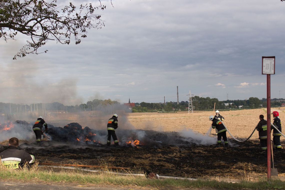 Plaga pożarów w powiecie. Będą kontrole