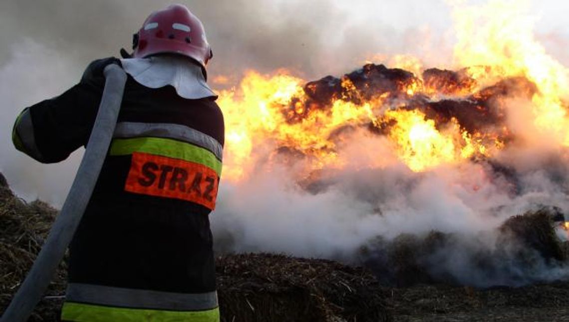 Płonęło nawet 6 ha rżyska. Ogień zagrażał domostwom