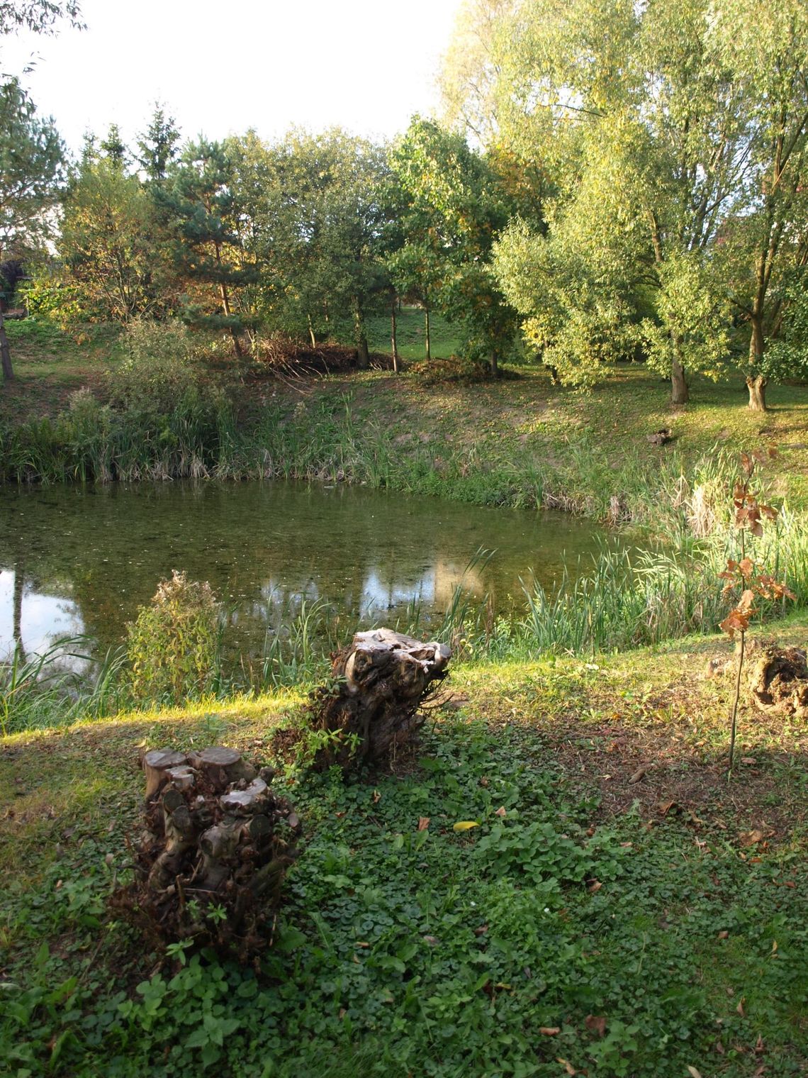 Po tragedii na Górkach. Są wyniki sekcji 24-latka