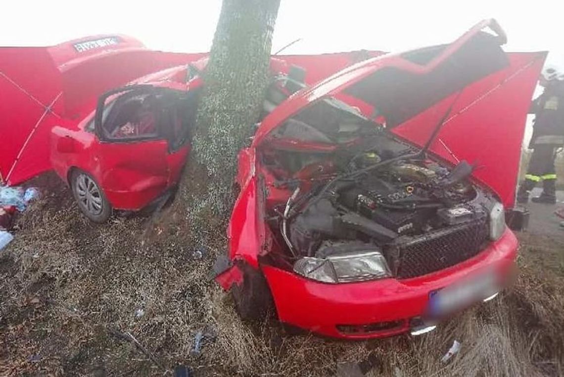 Po tragicznym wypadku w miejscowości Ciepłe - pojawi się ograniczenie prędkości a drzewo zostanie ścięte