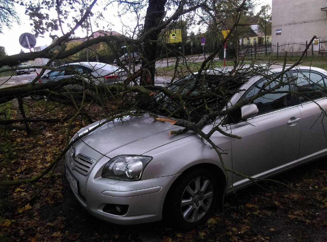 Połamane konary, drzewa przywrócone na drogę. Straż walczy ze skutkami wichury
