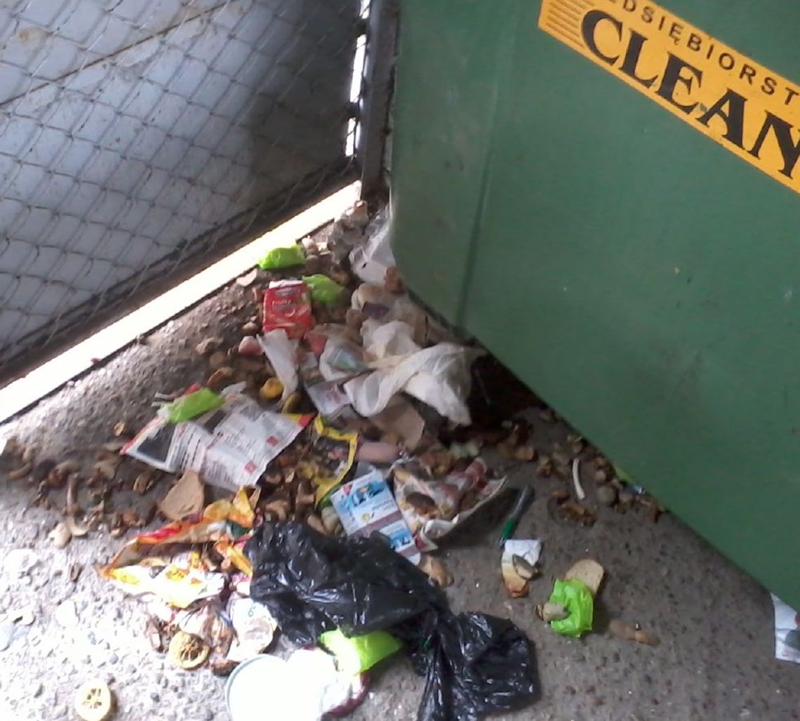 Porozrywane i poprzewracane. Co kryją worki ze śmieciami?