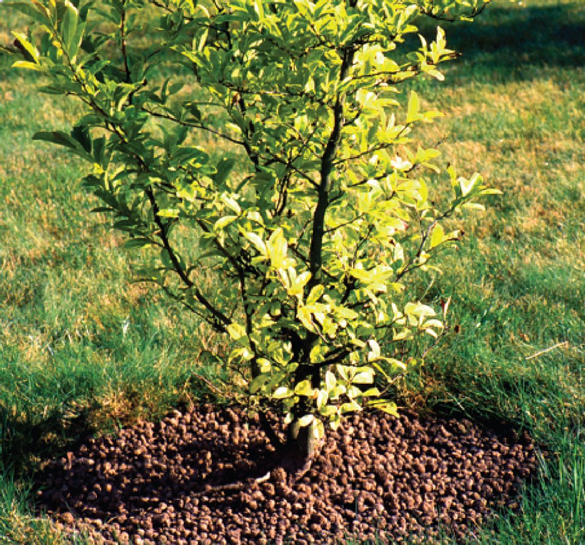 Powrót zieleni na balkony i tarasy Powrót zieleni na balkony i tarasy