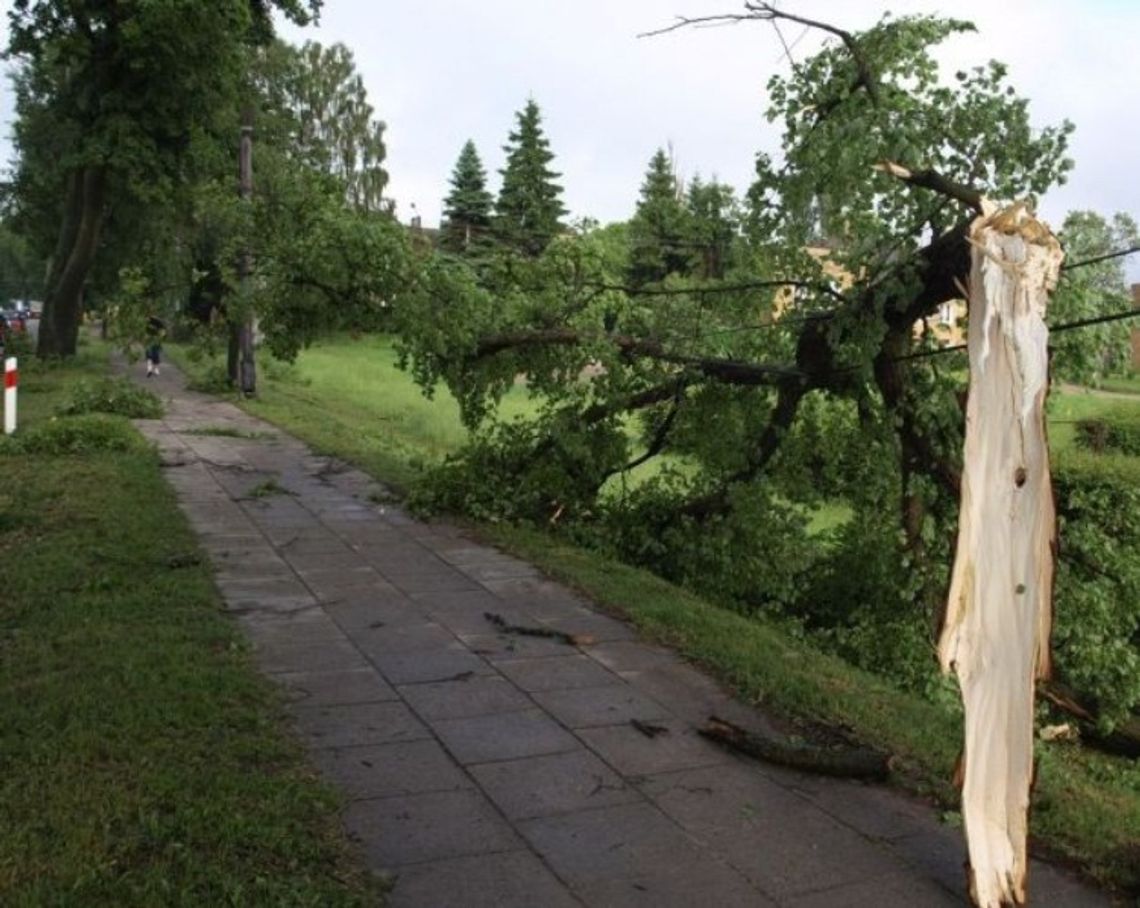 Pracowita noc tczewskich strażaków. Całą noc usuwali skutki wichury, która przeszła przez Pomorze Pracowita noc tczewskich strażaków. Całą noc usuwali skutki wichury, która przeszła przez Pomorze