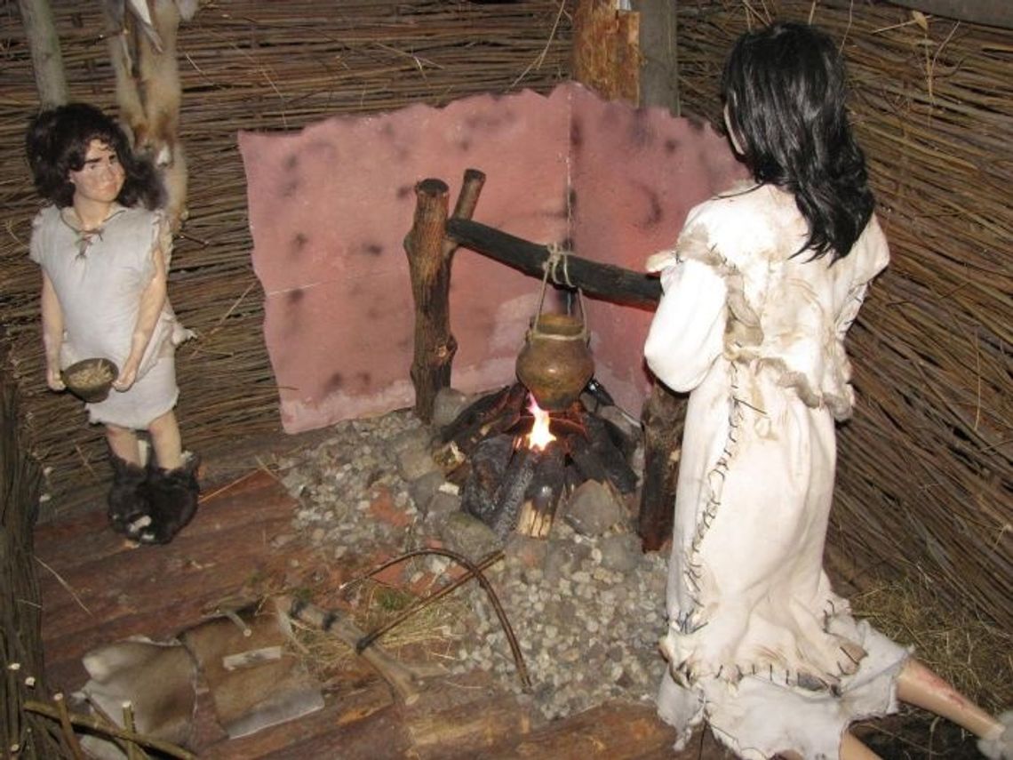 „Pradzieje Tczewa” – wielka wystawa na jubileusz 750-lecia miasta „Pradzieje Tczewa” – wielka wystawa na jubileusz 750-lecia miasta