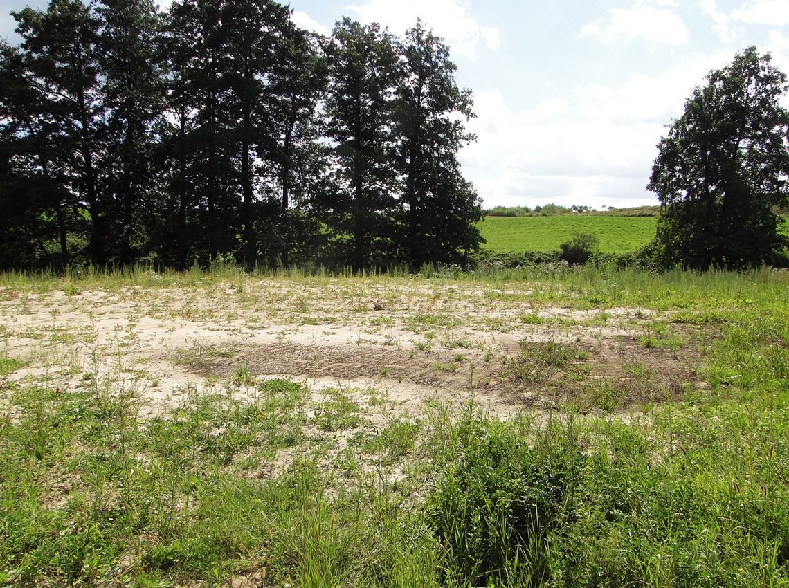 Problemy z Orlikiem w Opaleniu Problemy z Orlikiem w Opaleniu