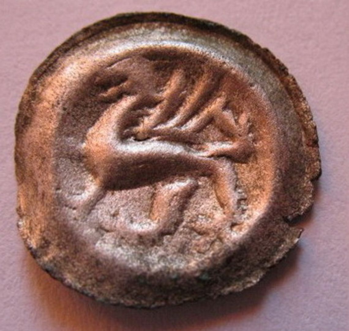 Przeczytaj zanim kupisz! Fałszywe monety Sambora II?