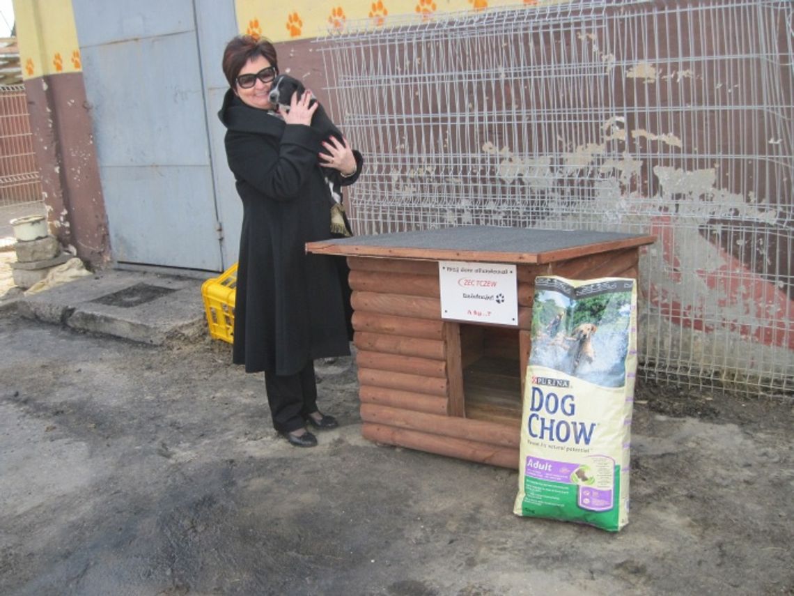 Przepełnione schronisko dla bezdomnych zwierząt Przepełnione schronisko dla bezdomnych zwierząt